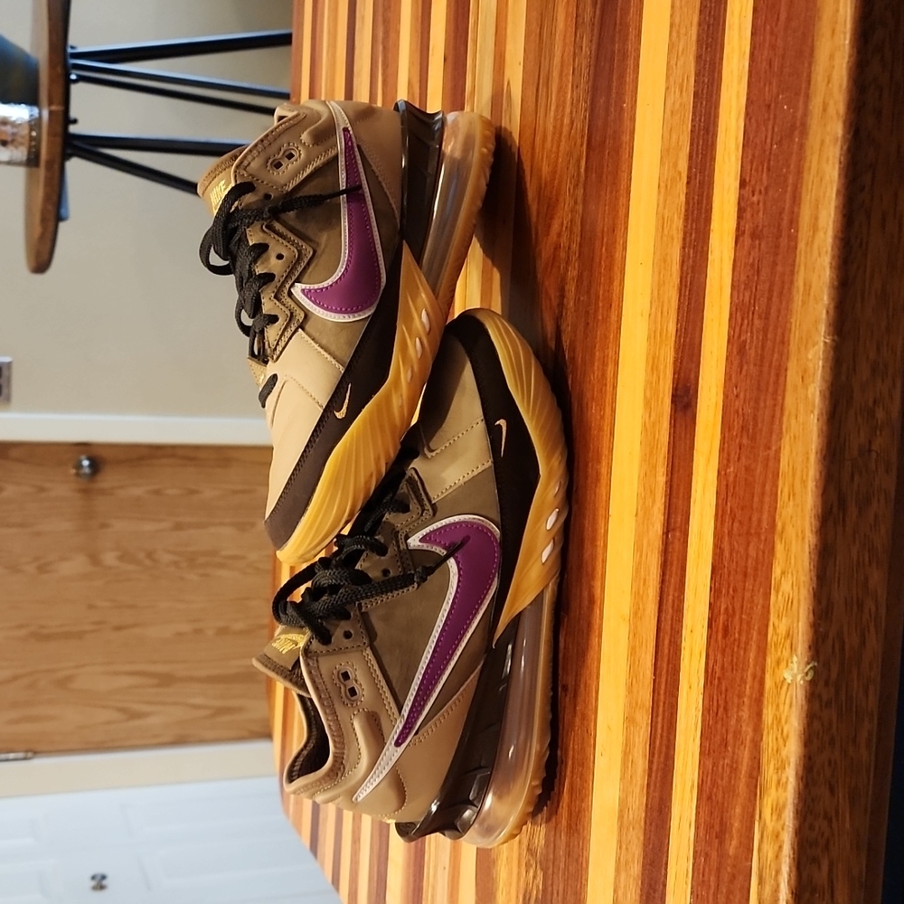 Nike atmos x lebron shoes
